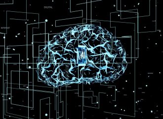 Czy nauka neurobiologii może pomóc w podejmowaniu decyzji biznesowych?